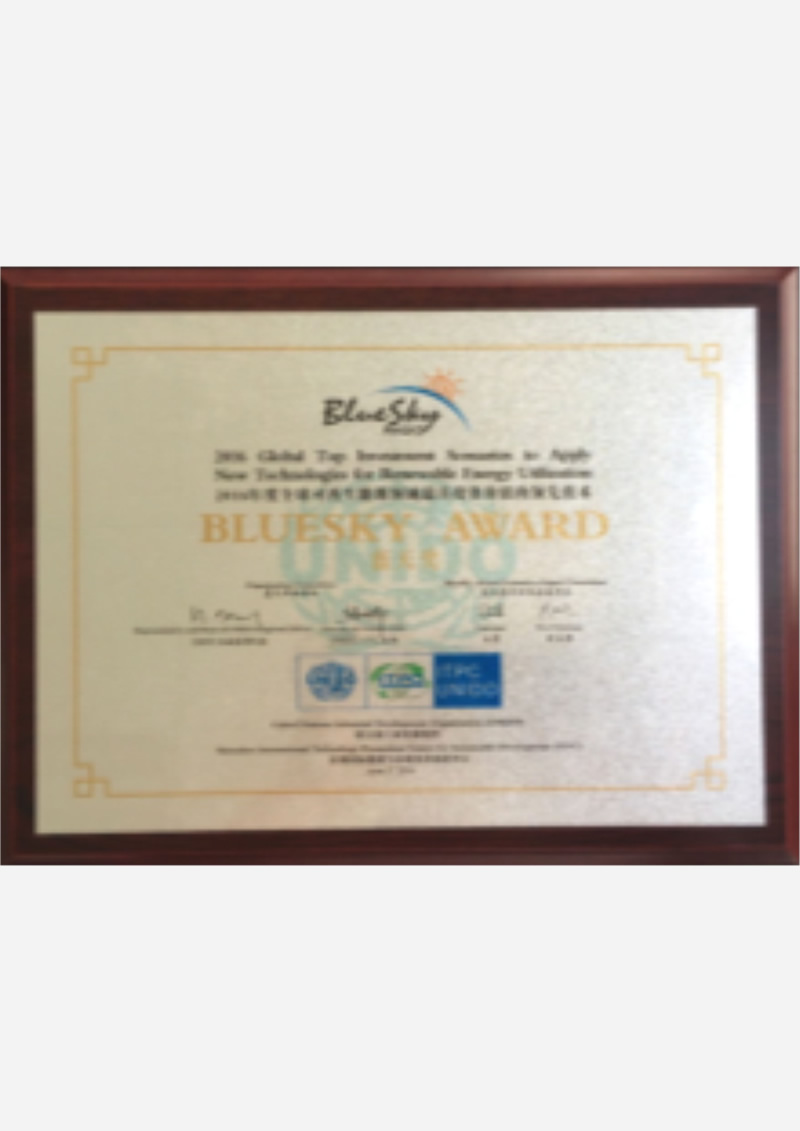 联合国工发组织蓝天奖（2016.6.17）